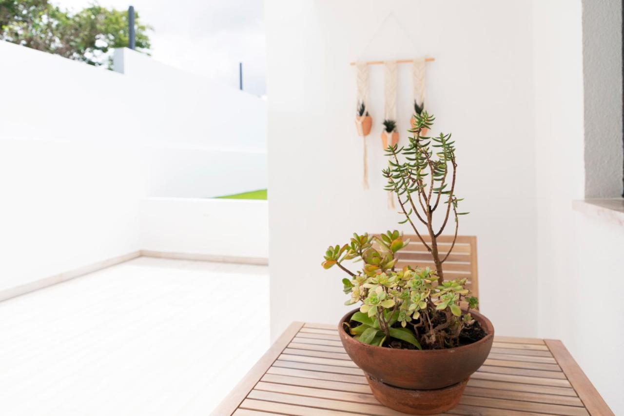 Casa Da Granja Apartment Aveiro Luaran gambar